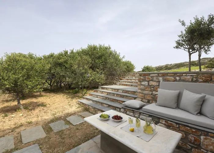 Alkyoni - Beautiful 8-person Family With Great Views Naousa